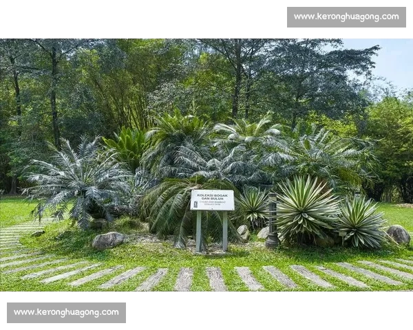 金杯赛非洲独苗：南非 2005 年的跨洋之旅